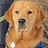 Vincent_Russell-Hinn