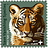 DevOpsTiger