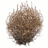 tumbleweed