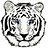 WhiteTiger