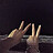 Phu_Dinh