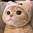 Hi_p_H_a_Hoang