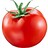 ip_master