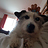 Luke_Glazebrook