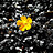 Sharon_Raphael