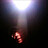 Bill_Kinsman
