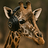 GiraffeSounds