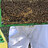 2beesure