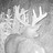 Joe_Allison
