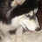 Jon_Kounovsky