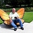 arbutterflynut