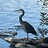 average_nature_enjoyer