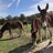 cheryl_rosenfeld
