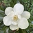 esummerbell esummerbell