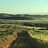 foodforestnz