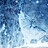 frozen_lily