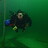 greenwaterdiver