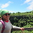 harlem_naturalist