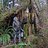 hilary_heron