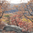 NJUrbanForest