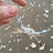 parasitis_voracibus
