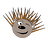 professor_porcupine