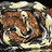 Snake.Fungal.Disease