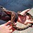 snake_smeuse