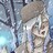 whitereaper