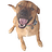 deisterhold