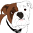 infinitebulldog