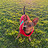 Bailey_Last