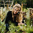 Little_Farmhouse_Flo