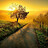 Ajay_R