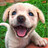 Subhadeep_Bayen