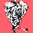 user1545
