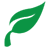 Kangsik_Choi