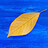 prasanna_coln
