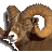 jmkellas