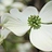 picturethesouth