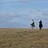 plains203