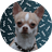 DevExp