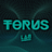 Torus_Lab