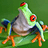 Treefrog