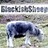 BlackisSheep