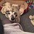 Janine_Chrispin