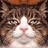 Thea_Jamieson