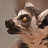 LemurPwned