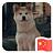 ysy717324540