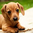 Rufus_McGee